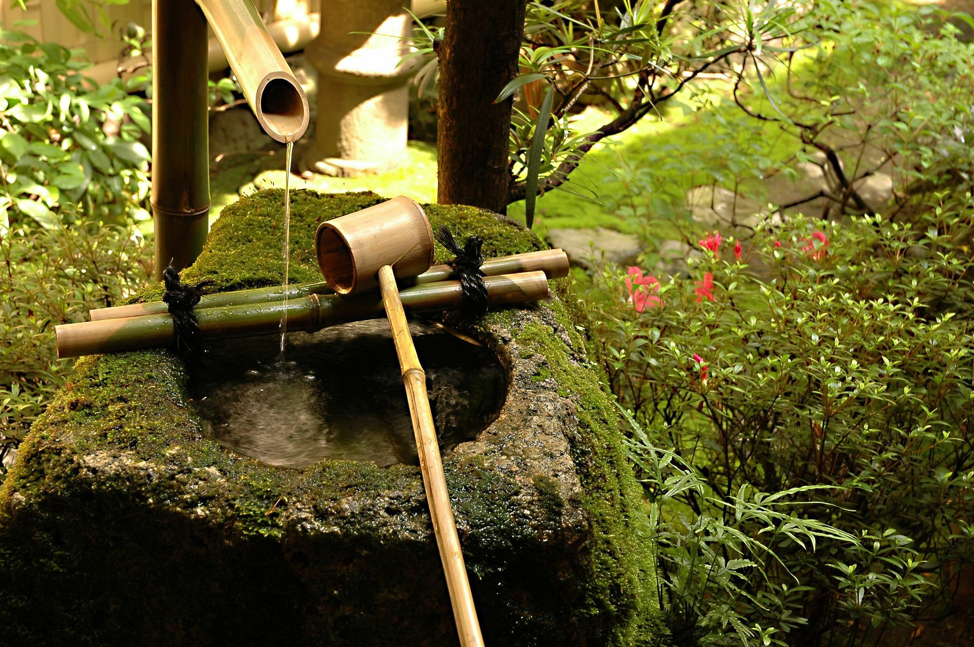 Ryokan Motonago Kyoto Eksteriør billede